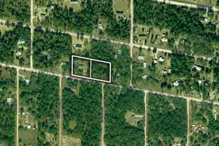 13711 NE 8 St, Williston, FL 32696 - Photo 46
