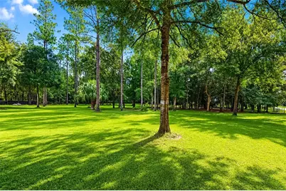 13711 NE 8th Street, Williston, FL 32696 - Photo 16