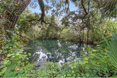 19683 SW 93rd Lane, Dunnellon, FL 34432 - Photo 64