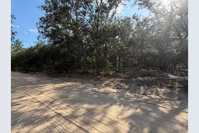 103 SW 53rd Avenue, Interlachen, FL 32148 - Photo 4