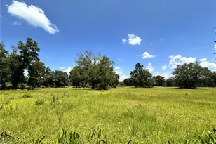 265 SW Skyline Loop, Fort White, FL 32038 - Photo 32