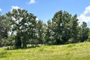 265 SW Skyline Loop, Fort White, FL 32038 - Photo 18