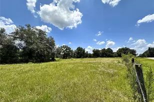 265 SW Skyline Loop, Fort White, FL 32038 - Photo 20