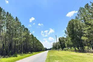 265 SW Skyline Loop, Fort White, FL 32038 - Photo 36