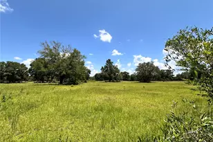 265 SW Skyline Loop, Fort White, FL 32038 - Photo 34
