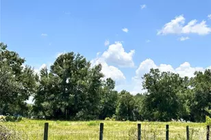 265 SW Skyline Loop, Fort White, FL 32038 - Photo 18