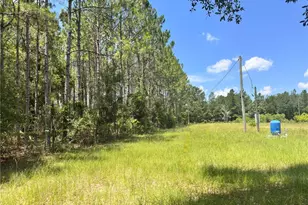 265 SW Skyline Loop, Fort White, FL 32038 - Photo 52