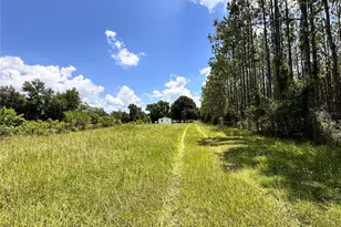 265 SW Skyline Loop, Fort White, FL 32038 - Photo 36