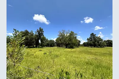 265 SW Skyline Loop, Fort White, FL 32038 - Photo 10