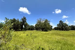 265 SW Skyline Loop, Fort White, FL 32038 - Photo 10