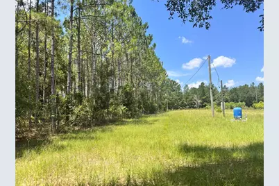 265 SW Skyline Loop, Fort White, FL 32038 - Photo 54