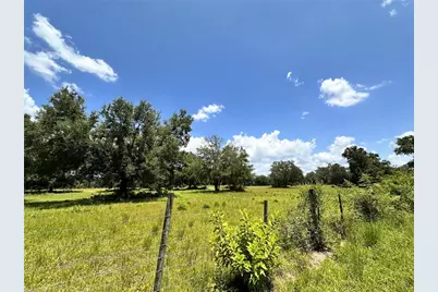 265 SW Skyline Loop, Fort White, FL 32038 - Photo 12