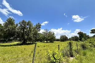 265 SW Skyline Loop, Fort White, FL 32038 - Photo 12