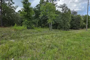 0000 SE State Road 121, Williston, FL 32696 - Photo 1