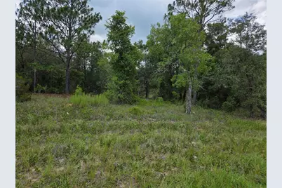 0000 SE State Road 121, Williston, FL 32696 - Photo 2