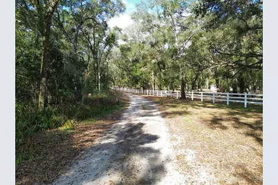Tbd SE 71st Terrace Road, Belleview, FL 34420 - Photo 4