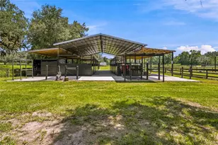 3875 SE 118th Ln, Belleview, FL 34420 - Photo 8