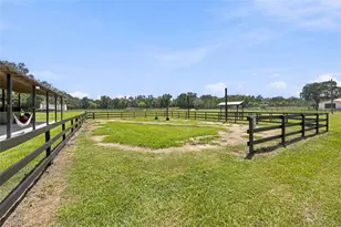 3875 SE 118th Ln, Belleview, FL 34420 - Photo 10
