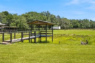 3875 SE 118th Ln, Belleview, FL 34420 - Photo 46