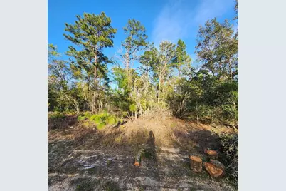 6673 N Libby Terrace, Citrus Springs, FL 34433 - Photo 4