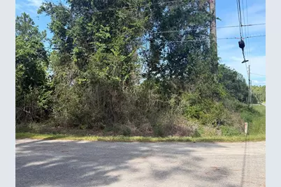 Tbd Malauka Terrace, Ocklawaha, FL 32179 - Photo 2