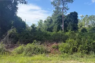 Tbd Malauka Terrace, Ocklawaha, FL 32179 - Photo 1