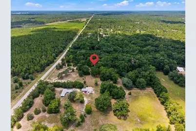 13051 NE 60th Street, Williston, FL 32696 - Photo 20