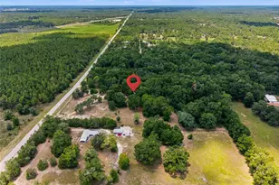 13051 NE 60th St, Williston, FL 32696 - Photo 20