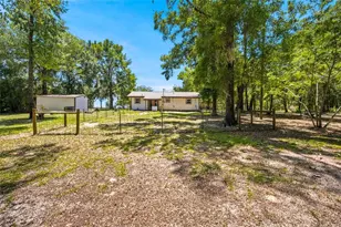 13051 NE 60th St, Williston, FL 32696 - Photo 26