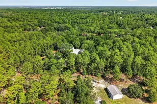 9000 SW 203rd Ct, Dunnellon, FL 34431 - Photo 78