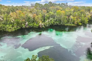 9000 SW 203rd Ct, Dunnellon, FL 34431 - Photo 4