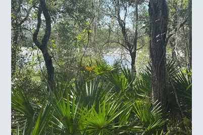 Tbd Malauka Pass Trail, Ocklawaha, FL 32179 - Photo 4