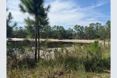 Tbd Malauka Pass Trail, Ocklawaha, FL 32179 - Photo 2