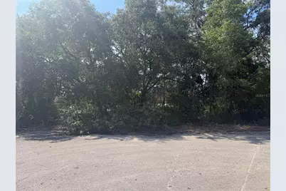 Tbd Malauka Pass Trail, Ocklawaha, FL 32179 - Photo 4
