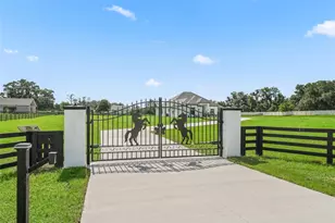 7041 NE 22nd Ct Rd, Ocala, FL 34479 - Photo 8
