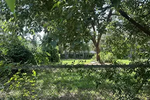 1802 E University Ave, Gainesville, FL 32641 - Photo 2