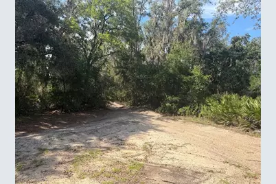 Tbd Malauka Pass Trail, Ocklawaha, FL 32179 - Photo 4