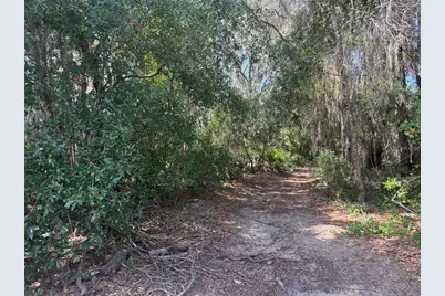 Tbd Malauka Pass Trail, Ocklawaha, FL 32179 - Photo 6