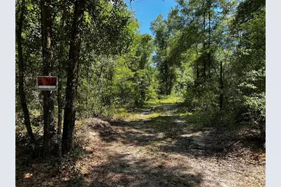 Tbd NE 81st Street, Bronson, FL 32621 - Photo 12