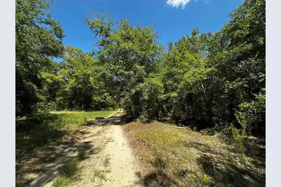 Tbd NE 81st Street, Bronson, FL 32621 - Photo 6