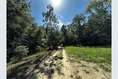 Tbd NE 81st Street, Bronson, FL 32621 - Photo 22