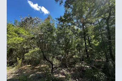Tbd NE 81st Street, Bronson, FL 32621 - Photo 16