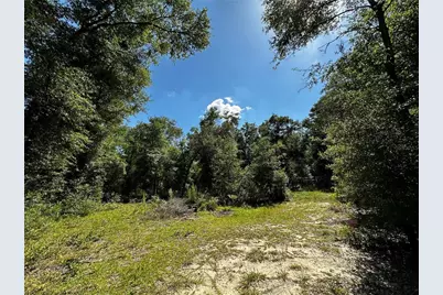 Tbd NE 81st Street, Bronson, FL 32621 - Photo 14