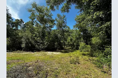Tbd NE 81st Street, Bronson, FL 32621 - Photo 4