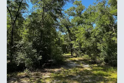 Tbd NE 81st Street, Bronson, FL 32621 - Photo 20