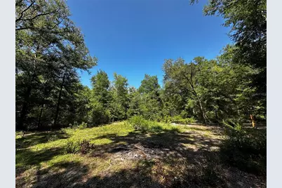 Tbd NE 81st Street, Bronson, FL 32621 - Photo 8