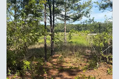 Tbd Guava Terrace, Ocklawaha, FL 32179 - Photo 4