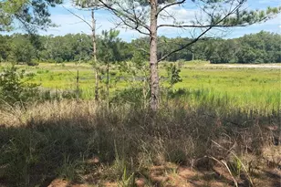 Tbd Guava Terrace, Ocklawaha, FL 32179 - Photo 1