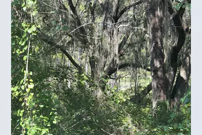 Tbd Guava Terrace, Ocklawaha, FL 32179 - Photo 2