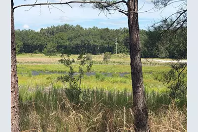 Tbd Guava Terrace, Ocklawaha, FL 32179 - Photo 6